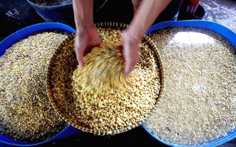 Harga Kedelai Merangkak Naik, Bapanas Desak Distributor dan Importir Patuhi Harga Acuan Harga Kedelai Merangkak Naik, Bapanas Desak Distributor dan Importir Patuhi Harga Acuan