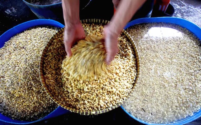 Harga Kedelai Merangkak Naik, Bapanas Desak Distributor dan Importir Patuhi Harga Acuan