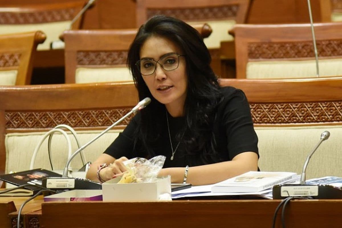 DPR Minta Akses Lintas Udara Dikaji dengan Hati-Hati