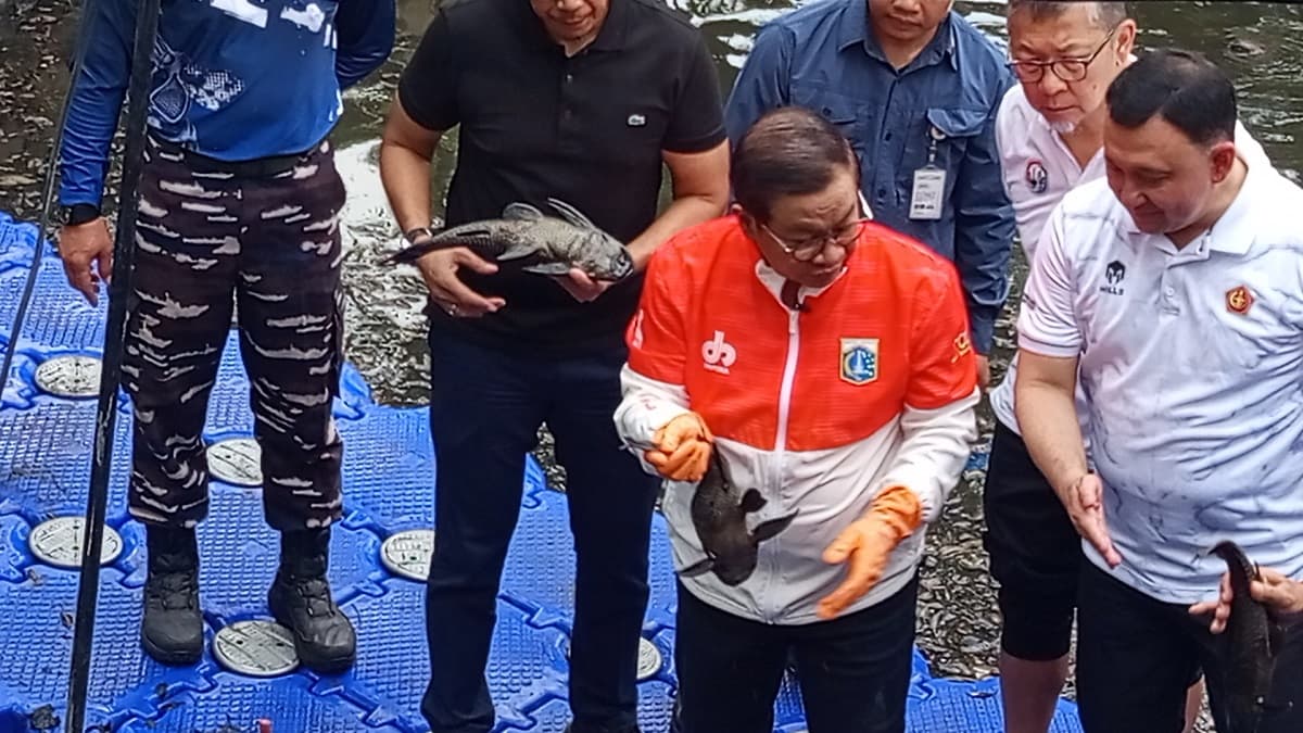 Pramono Ungkap Ikan Sapu-Sapu Pura-Pura Lemas saat Ditangkap, padahal Invasif
