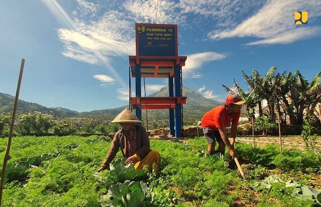Petani Ungkap Kondisi Terkini Cadangan Beras Pemerintah