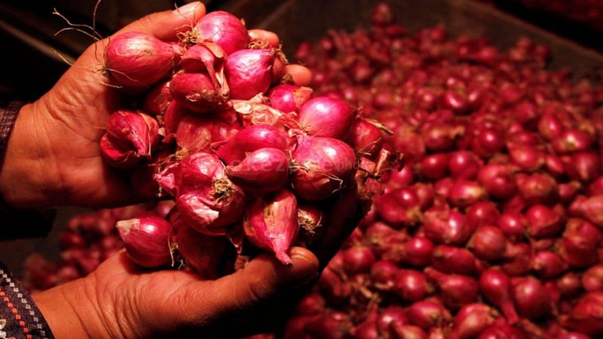 Bareskrim Polri Sita 23 Ton Bawang dan Cabai Impor Ilegal di Pontianak