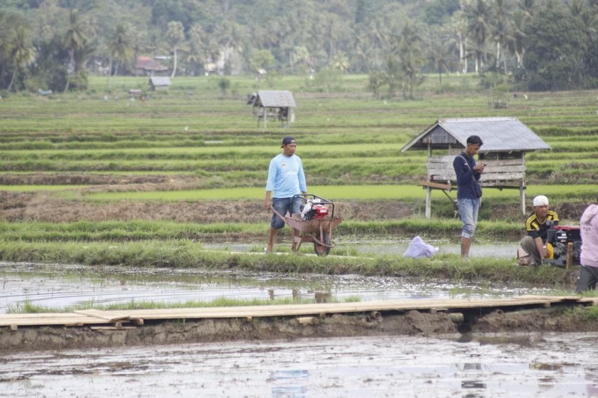 Intip Strategi Mentan Hadapi Kemarau Panjang 2026