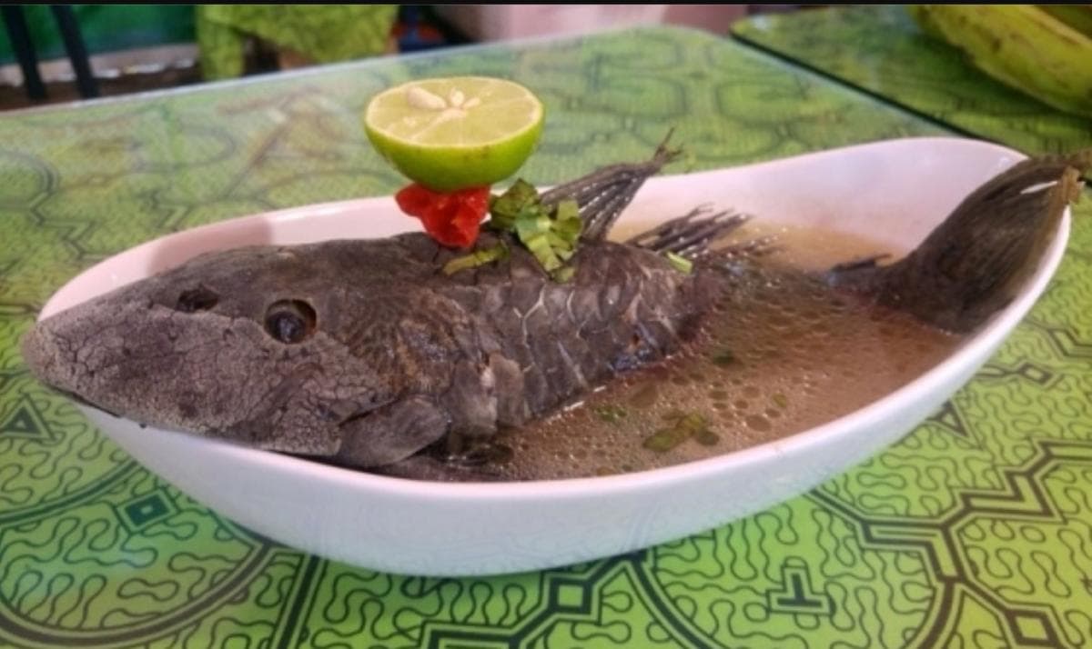 Bahaya Konsumsi Ikan Sapu-sapu bagi Kesehatan