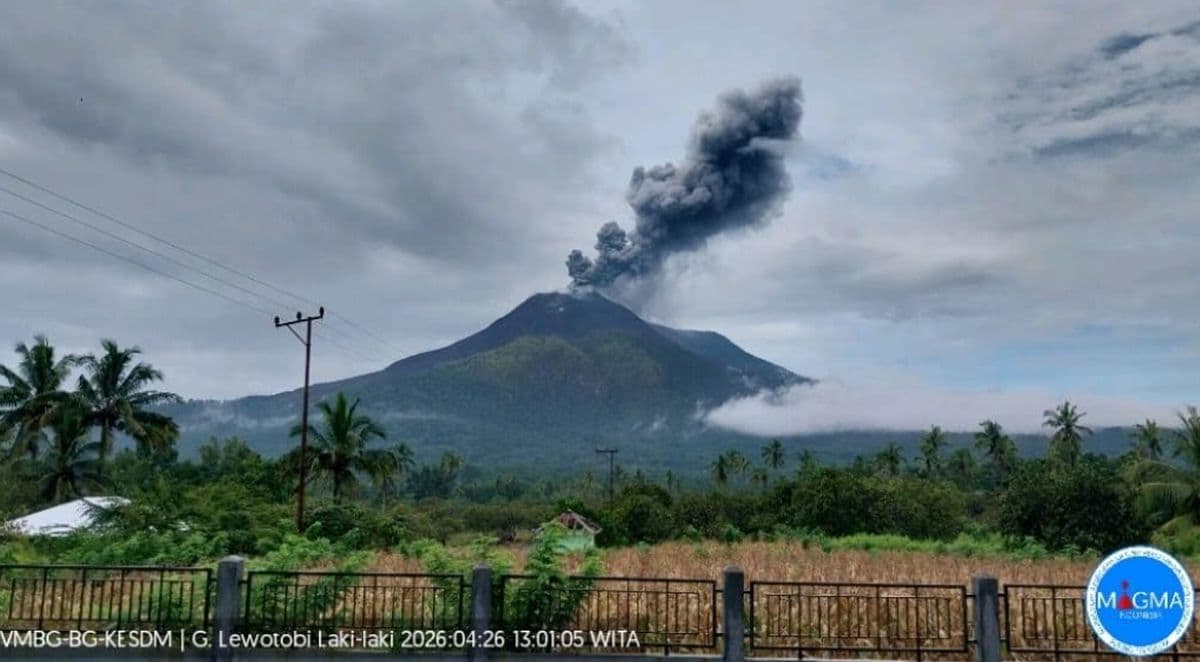 Gunung Lewotobi Laki-Laki Meletus, Muntahkan Abu Vulkanik Setinggi 1.000 Meter