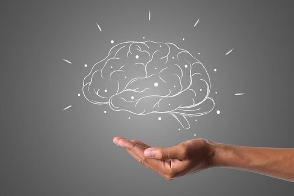Penurunan Kualitas Otak di Usia Produktif Kini Jadi Sorotan, Bukan Sekadar Penyakit!