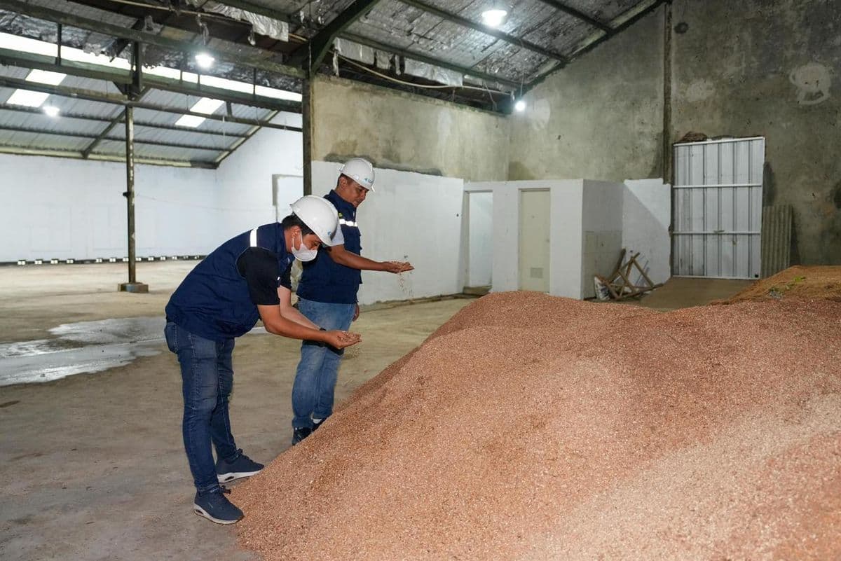 Kurangi Batu Bara, Intip Rencana Besar Pengembangan Biomassa di RI