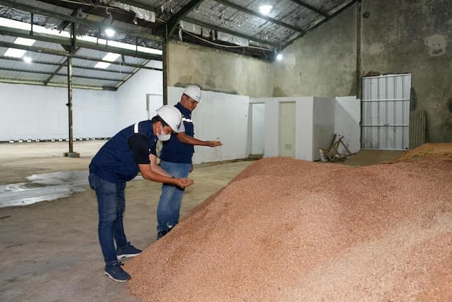 Kurangi Batu Bara, Intip Rencana Besar Pengembangan Biomassa di RI