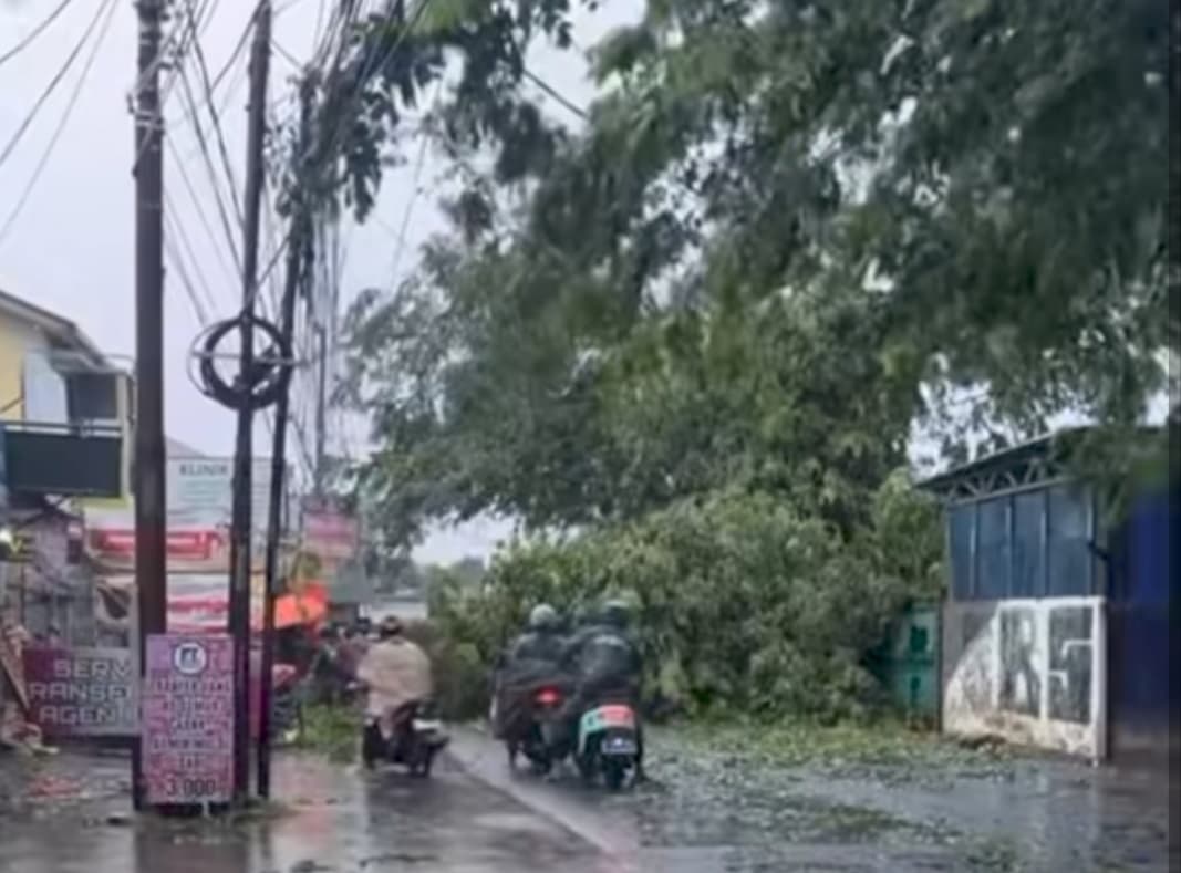 Sejumlah Pohon di Bekasi Tumbang Imbas Hujan Disertai Angin Kencang