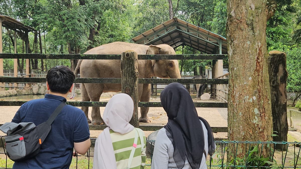 Ragunan Dipadati Wisatawan saat Long Weekend, Diprediksi Tembus 100 Ribu Pengunjung