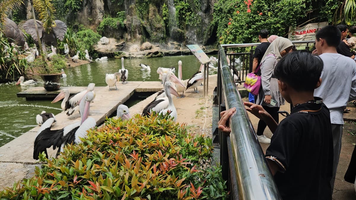 Wisata Malam di Kebun Binatang Ragunan Kian Diminati, Ada Wahana Khusus