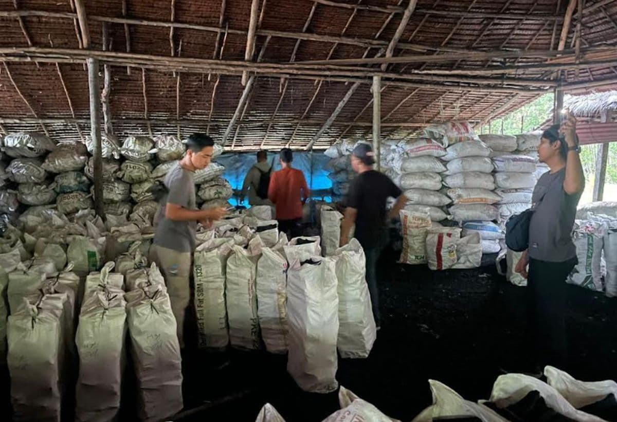 Polisi Sikat Perusak Mangrove di Riau, Sita Ribuan Karung Arang Bakau