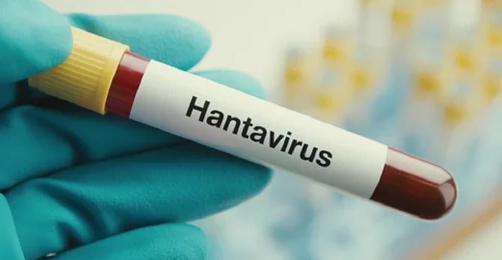 Kasus Hantavirus Baru Tedeteksi di Pulau Terpencil Atlantik
