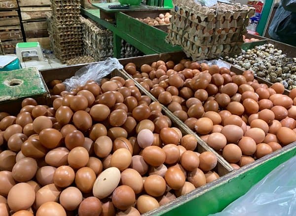 Stabilkan Harga Telur, Kementan Sebut Peternak Jadi Prioritas