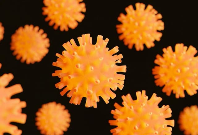 Gejala Hantavirus Mirip Flu tapi Bisa Membahayakan Paru-Paru