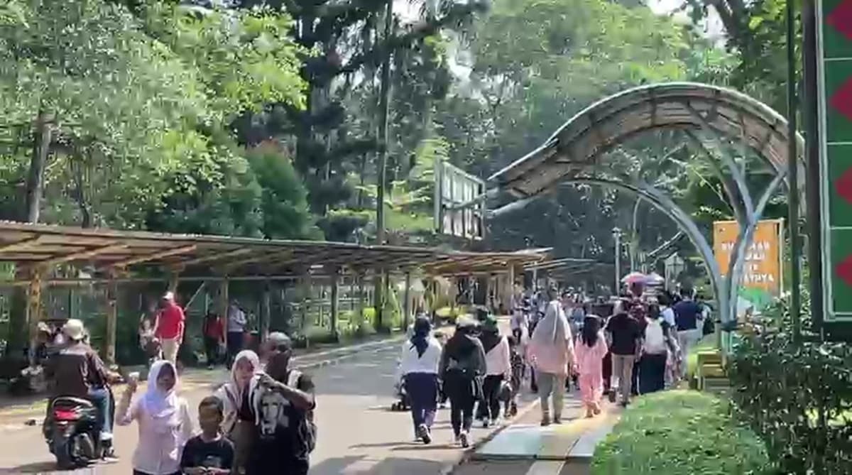 Ragunan Diserbu Pengunjung saat Libur Long Weekend, Diprediksi Tembus 100 Ribu Orang