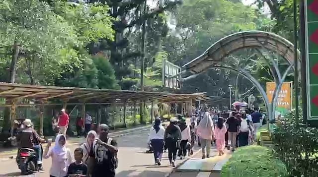 Ragunan Diserbu Pengunjung saat Libur Long Weekend, Diprediksi Tembus 100 Ribu Orang