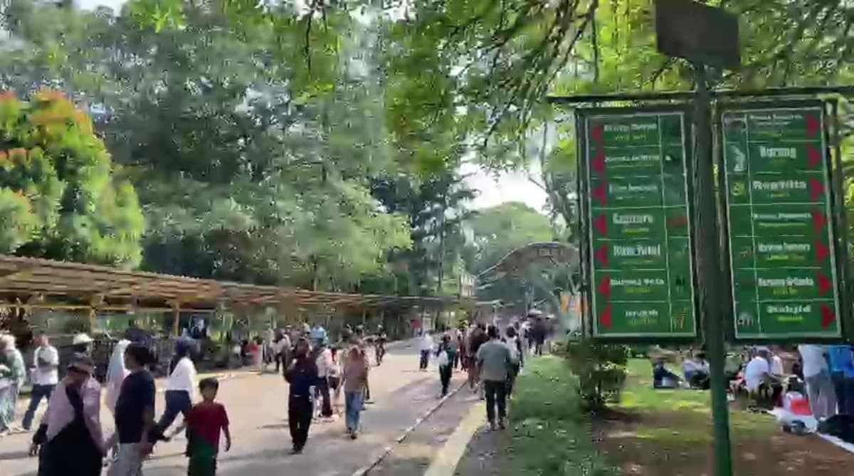 Ini Jadwal Feeding Time Satwa di Taman Margasatwa Ragunan Selama Long Weekend