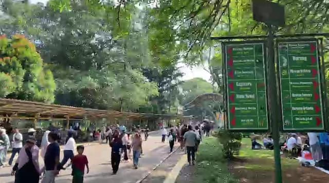 Ini Jadwal Feeding Time Satwa di Taman Margasatwa Ragunan Selama Long Weekend