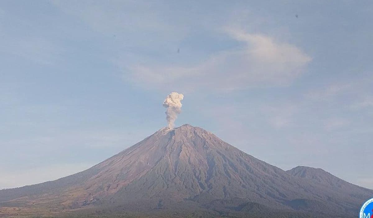Gunung Semeru Meletus, Muntahkan Abu Vulkanik Sejauh 600 Meter