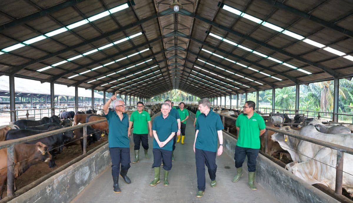 Perkuat Kerja Sama, Dubes Australia Brazier Kunjungi Medan