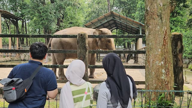 Long Weekend, Ragunan Dipadati 13 Ribu Pengunjung
