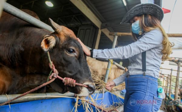 Segini Kisaran Modal yang Disiapkan Buat Buka Bisnis Hewan Ternak Sapi dan Kambing Jelang Idul Adha