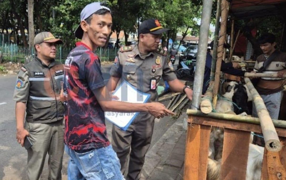 Lapak Pedagang Hewan Kurban yang Jualan di Trotoar Dibongkar Satpol PP DKI