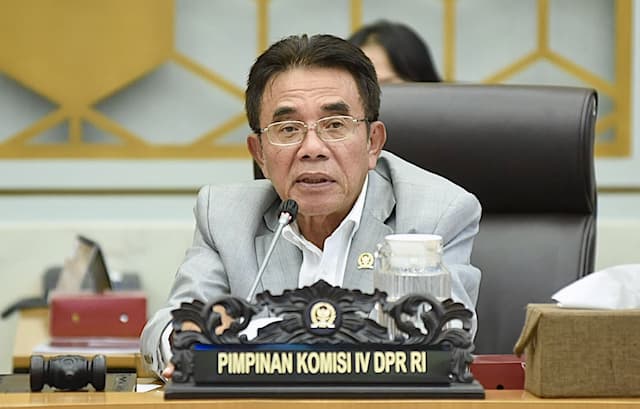 Komisi IV DPR: PSN Wanam untuk Ketahanan Pangan Jangka Panjang!