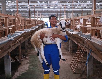 Apakah Boleh Kurban Satu Kambing untuk Keluarga?