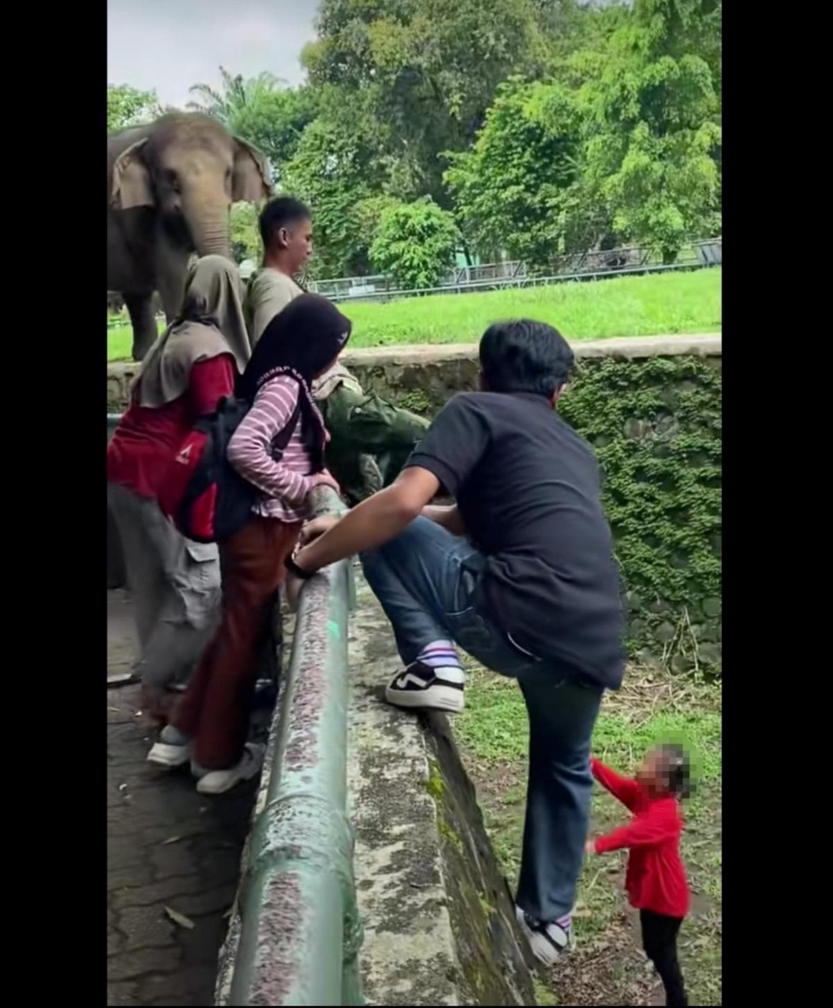 Viral Anak Jatuh di Kandang Gajah, Ragunan Perketat Pengawasan Pengunjung