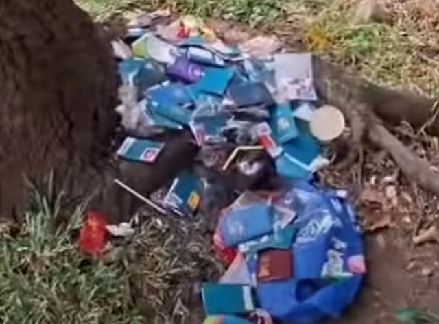 Viral Paspor Diduga Milik Jamaah Haji Berserakan di Jalanan BSD, Imigrasi Lakukan Investigasi