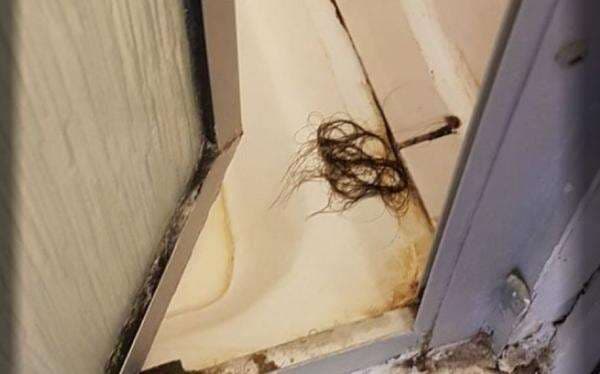 Pengalaman Buruk Menginap di Hotel Jorok, Banyak Tikus hingga Saluran Air Tersumbat Rambut