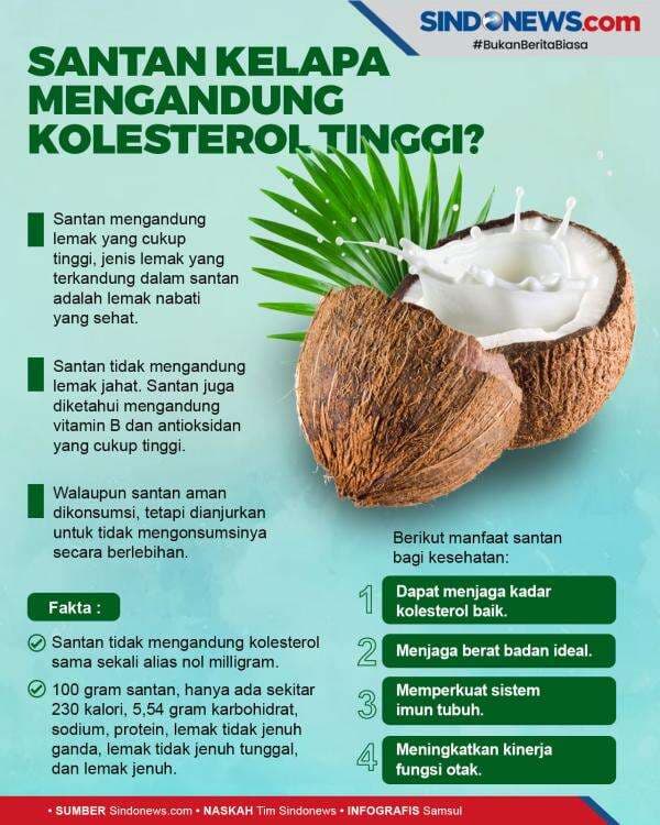 Apakah Santan Kelapa Mengandung Kolesterol Tinggi? Ini Faktanya