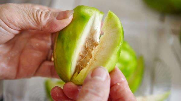 Selain Rasanya Segar, Ini 6 Manfaat Buah Kedondong Bagi Kesehatan