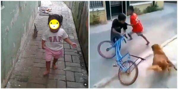 11 Momen lucu orang dikejar hewan, ambil anak ayamnya diuber induknya 11 Momen lucu orang dikejar hewan, ambil anak ayamnya diuber induknya