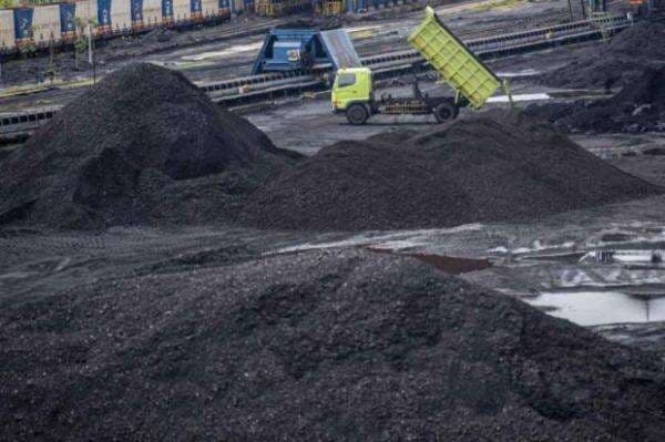 Profil PLN Batubara, Anak Usaha PLN yang Terancam Dibubarkan