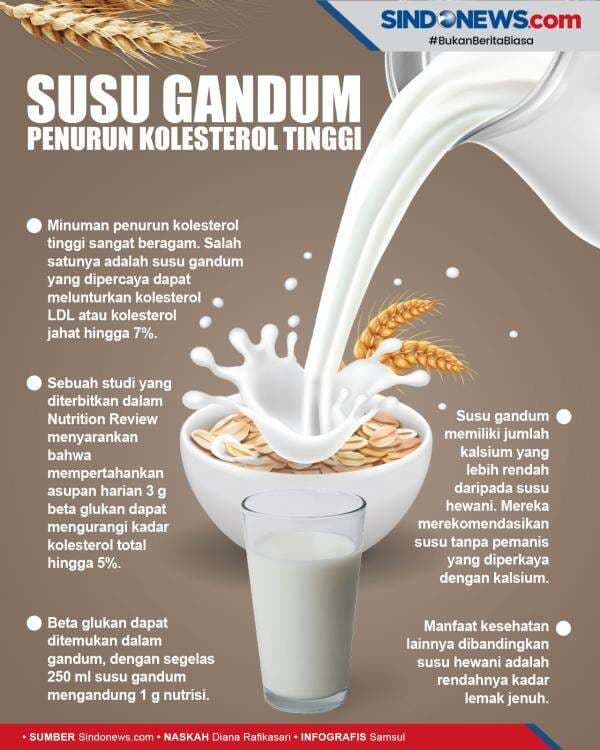 Manfaat Susu Gandum Bagi Kesehatan, Penurun Kolesterol Tinggi