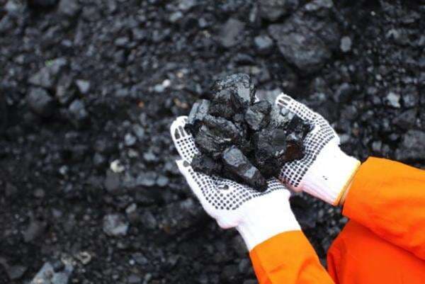 PLN Harus Beli Batu Bara dengan Harga Pasar, Pengamat: Bakal Jadi Masalah Baru