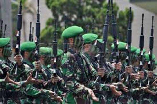 Profil Batalyon Raider 303, Pasukan Elite TNI AD Tempat Almarhum Pratu Sahdi Bertugas