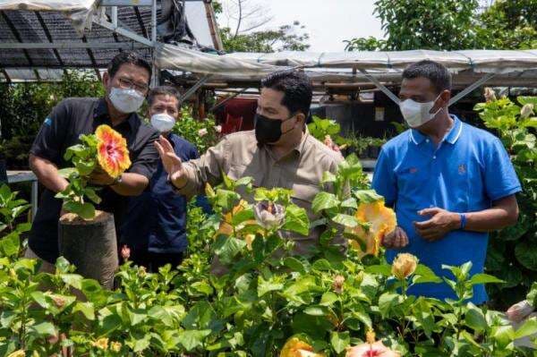 Kementerian BUMN Dan BRI Dukung Pengembangan Usaha Klaster Tanaman Hias