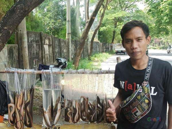 Menggiurkan, Harga Daging Belut Lebih Tinggi daripada Ayam