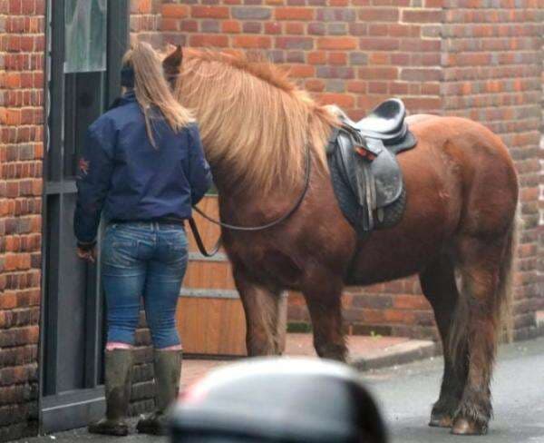 Santuy Banget, Wanita Ini Pesan Kopi Drive Thru Sambil Tuntun Kuda Poni