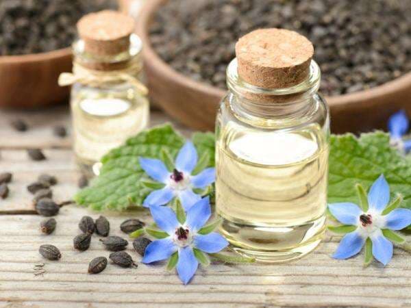 Borage Seed Oil, Minyak Alami yang Punya Segudang Manfaat untuk Kecantikan Kulit dan Rambut