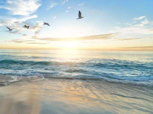 Bukan Kuning atau Jingga, Ini Fakta Sebenarnya Warna Matahari, Tak Disangka!