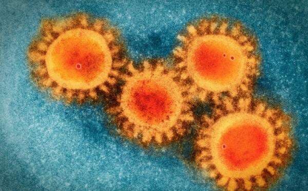 Dokter Tirta Sebut Perubahan Musim Berpengaruh pada Kenaikan Kasus Covid-19