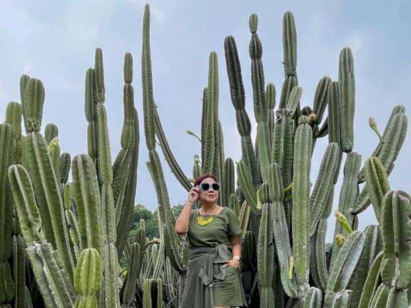 Kebun Raya Bogor: Harga Tiket Masuk, Sejarah, dan Spot Wisatanya