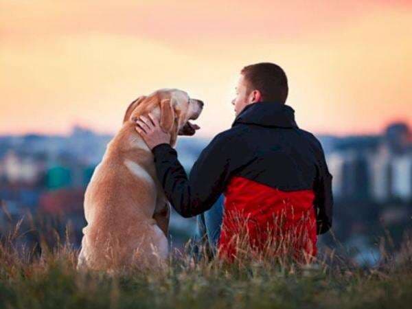 Fakta Satu Tahun Anjing Sama dengan Tujuh Tahunnya Manusia, Katanya Sih Lebih Tua!