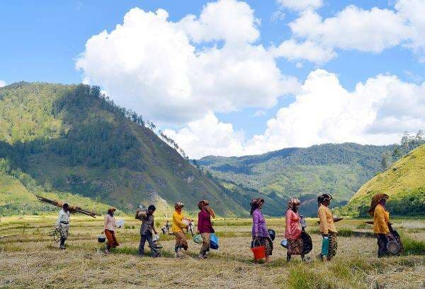 Mengenal Resam Berume, Senam Khas Dataran Tinggi Gayo yang Jarang Diketahui