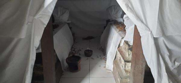 Menjawab Misteri Dua Makam Tua di Pasar Godean